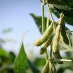 Success from the roots up