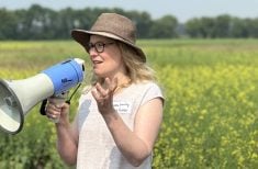University of Manitoba Agronomist, Yvonne Lawley discusses flea beetle suppression using cover crops at U of M field day in Carman. Photo: Don Norman