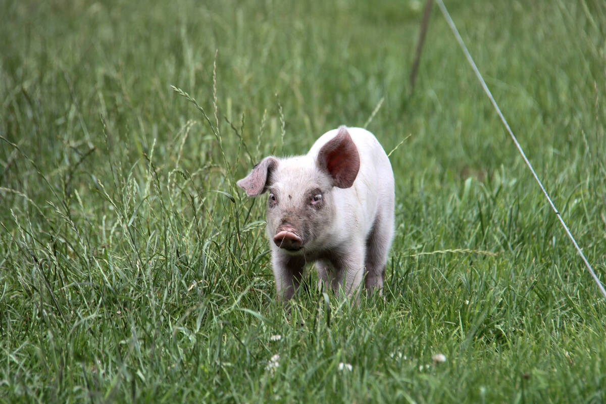 Photo: Geralyn Wichers
