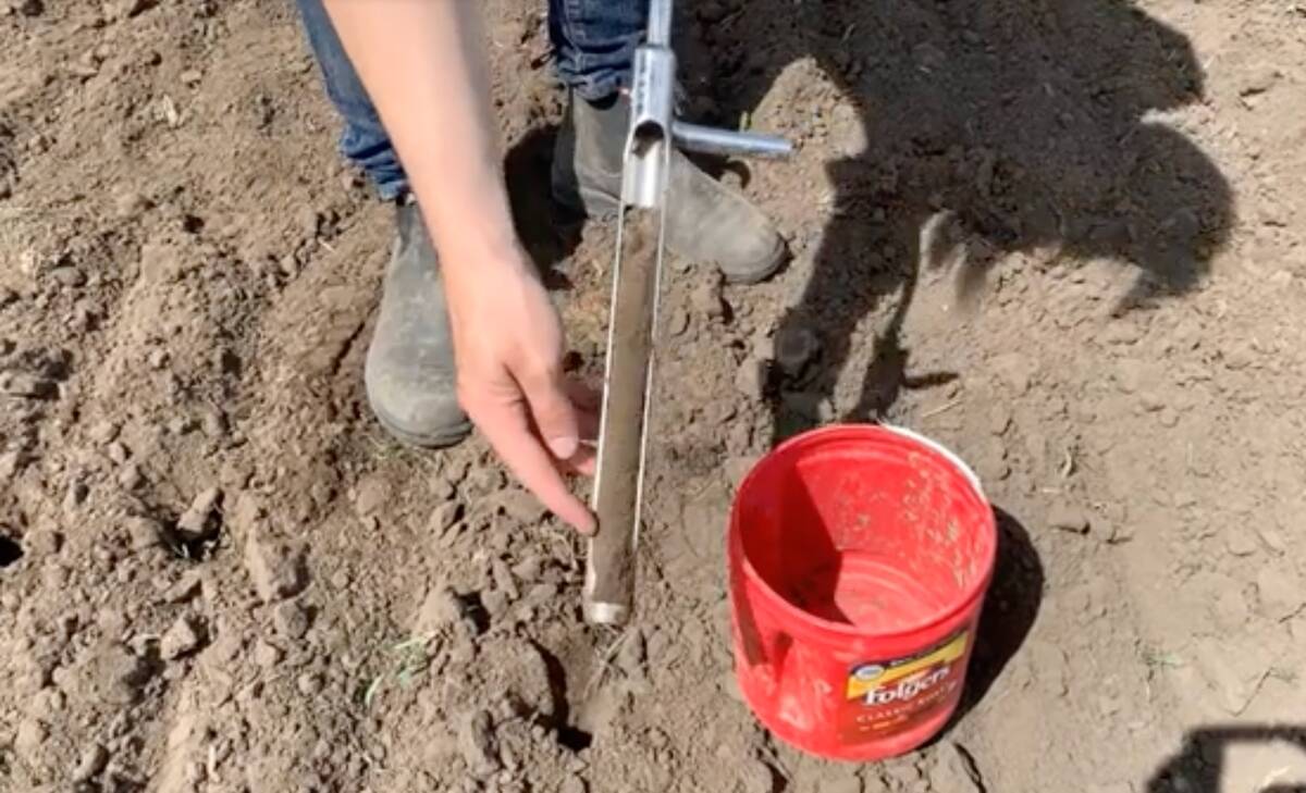 Taking a soil sample. Photo: Nutrien Ag Solutions video screengrab