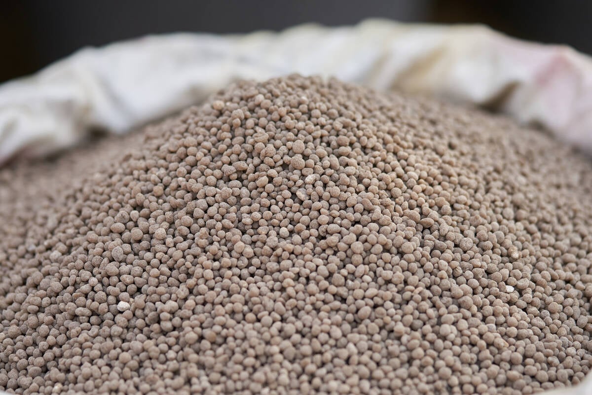 18-46-0 , Diammonium phosphate (DAP) fertilizers in fertilizer bag. Phosphorus placement influenced plant stands more than yield in multi-site Saskatchewan canola trials. Photo: iamporpla/iStock/Getty Images