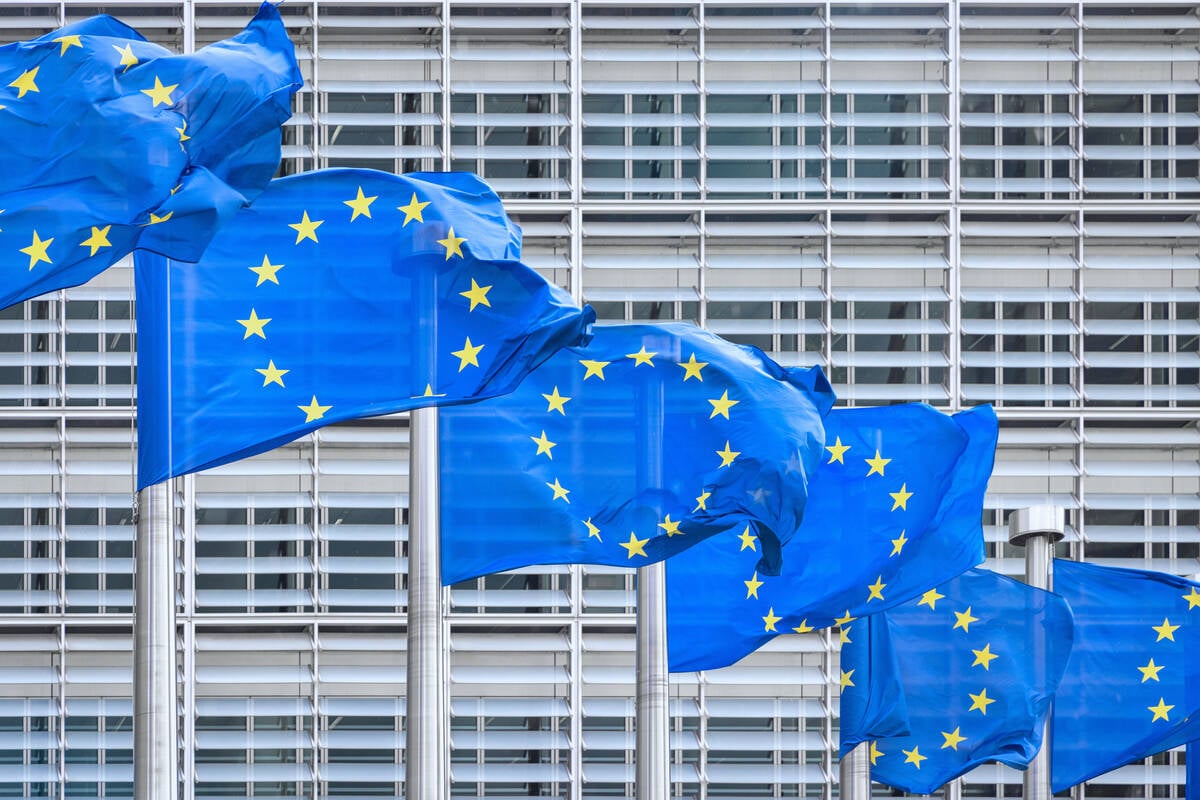 European Union Flags in a row in front of the facade of the European Commission Headquarter blowing in Brussels, Belgium. Photo: Getty Images Plus
