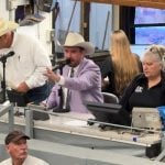 Brennin Jack, in the coloured shirt, conducts a livestock sale. Jack will be competing in the World Livestock Auctioneering Championship in St. Onge, South Dakota this June. Photo: Supplied