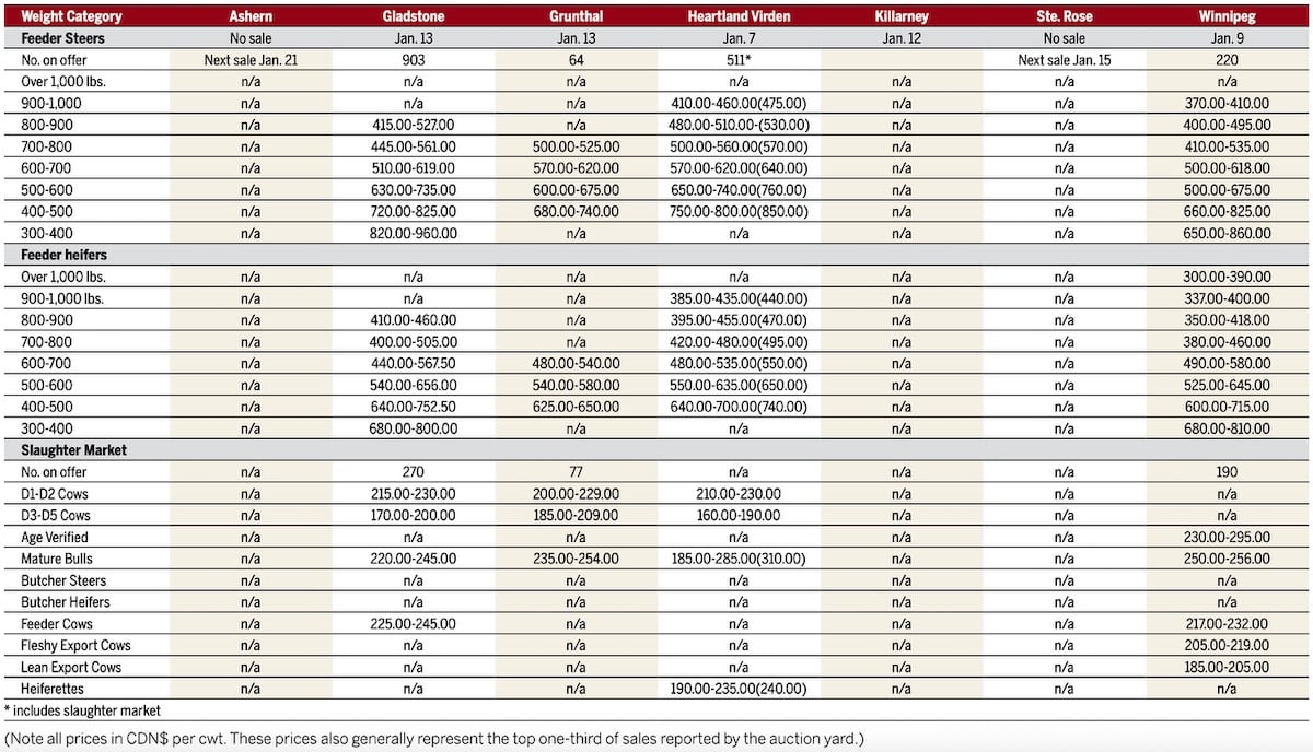 U.S. sheep numbers resilient despite drought
