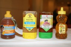 Only one of these containers of honey, the BeeMaid on the  left, is truly a product of Canada, even though all the labels say  Canada No. 1. The Canadian Honey Council, along with provincial  beekeepers, want consumers to choose domestic product over imports masquerading as Canadian honey. Photo: Karen Briere