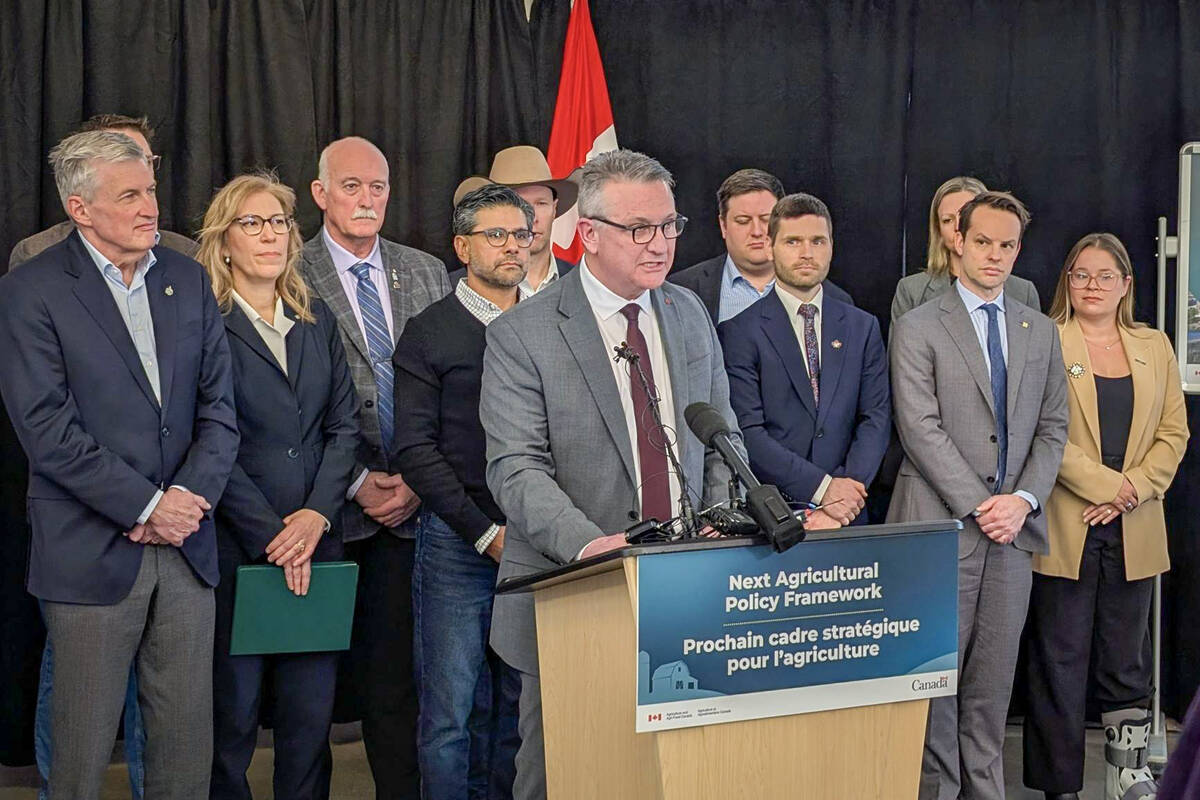 USDA notes shifts in Mexican corn