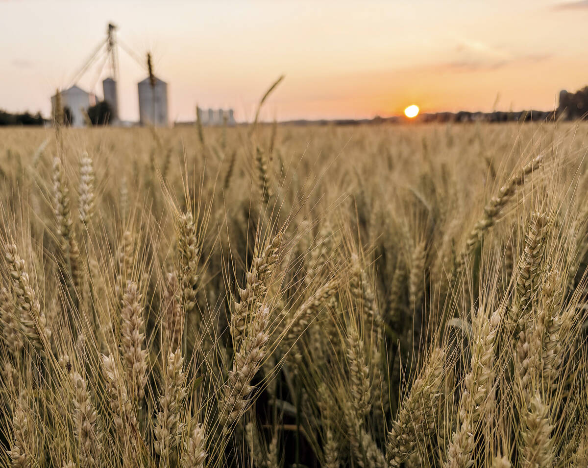 Feds spend $97 million on agricultural clean tech projects