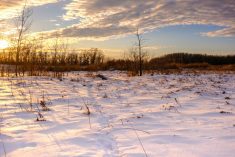 Photo: Getty Images Plus
