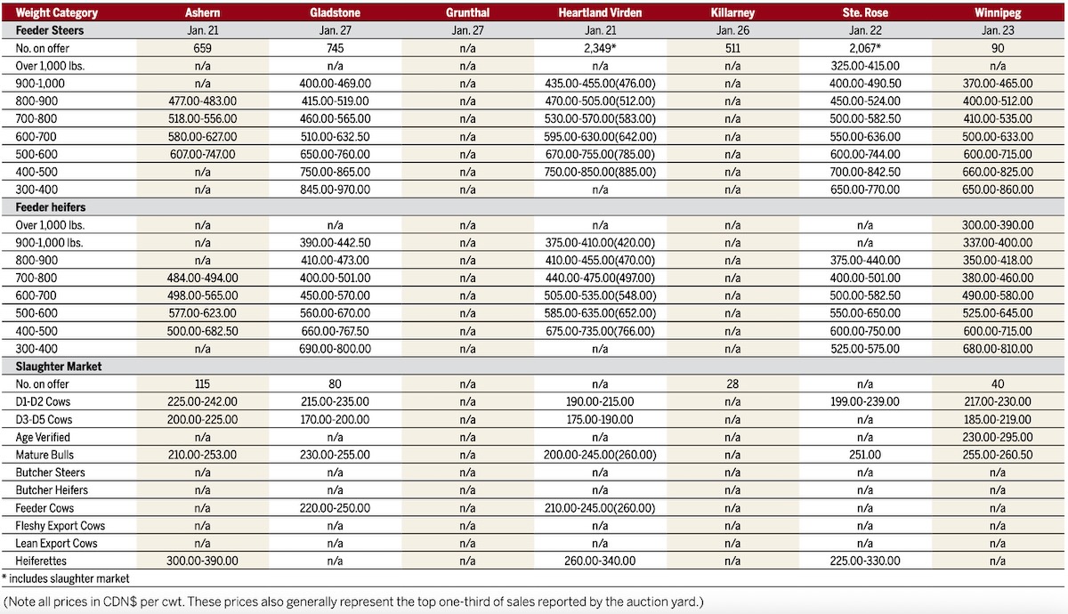 Prices received at Manitoba livestock auctions for week ending Jan. 27, 2026