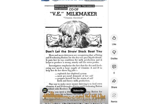 ”Meat tokens and nation building” is the description of our recent historical video looking back at post-war realities in Manitoba agriculture in 1946. Photo: Screen Capture/YouTube