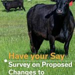Canadian Cattle Association launches traceability survey