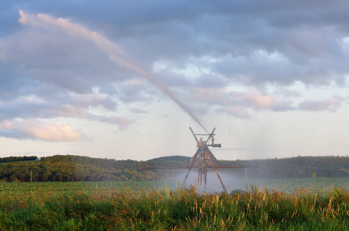 The summer sun reflects of the spray sent off by an irrigation pivot near Treherne, Man. Photo: Alexis Stockford