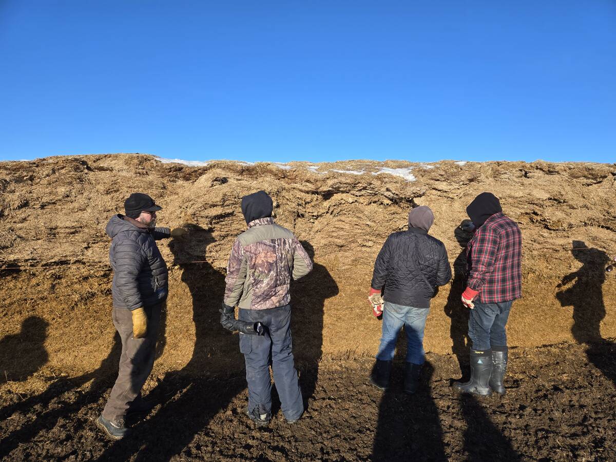 Participants in a winter grazing tour check out a silage pile for cattle to graze on during the winter at Bos Family Farms near Rapid City, Man., on Jan. 12, 2026. Photo: Miranda Leybourne