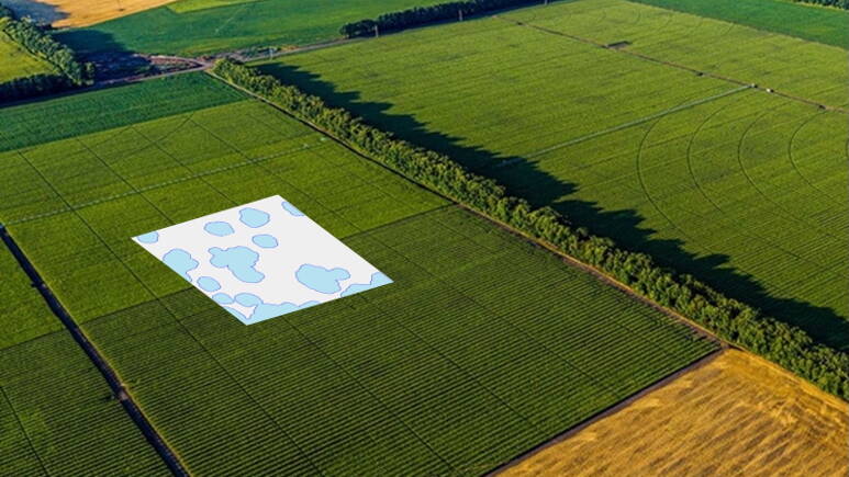 An example of a predictive map overlay showing expected weed patches based on multi-year field history. Photo: Geco
