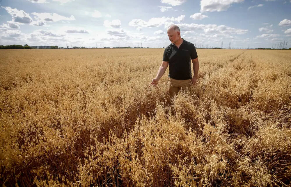 Geco CEO Greg Stewart scouting an oat field. Stewart says understanding how patches shift from year to year is key to predictive weed control. Photo: Geco