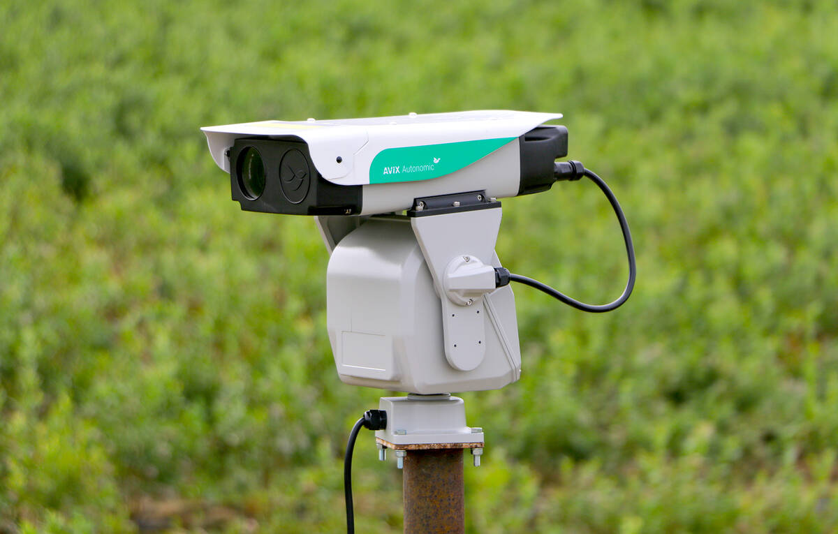 The AVIX Autonomic Mark II automated laser bird deterrent can be programmed with 16 different patterns and 10 time slots. Each pattern can be assigned to a specific time slot, enabling a variety of bird-repelling patterns at different times of day. Photo: Bird Control Group
