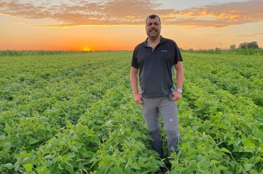 Juan Osorno, a dry bean breeder and geneticist at North Dakota State University. Photo: Joyana Baumann