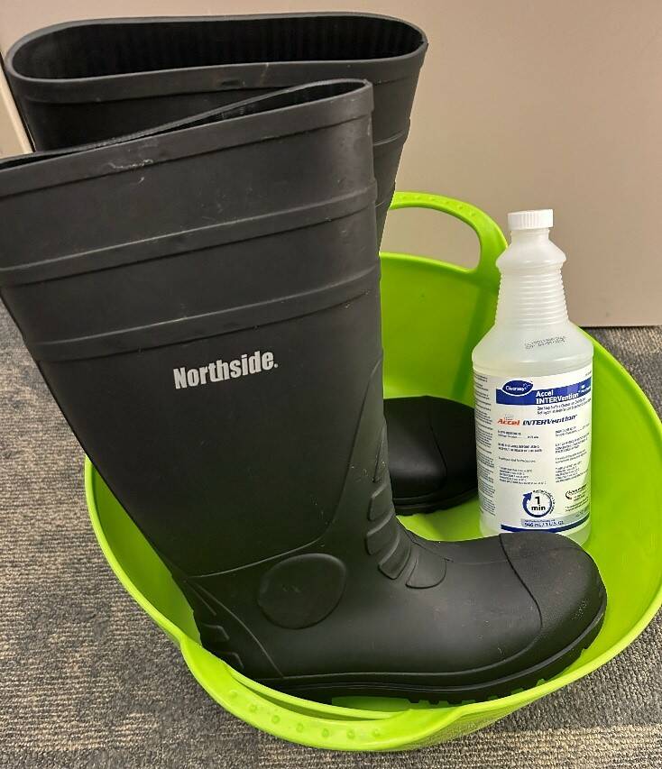 Things brought into the calving barn can have dangerous hitchhiking pathogens.