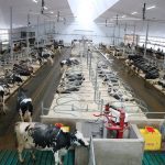 Canadian farm milk price changes to reflect growing protein demand