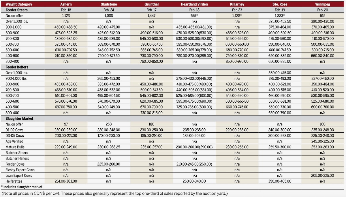 Your weekly table of price ranges for beef cattle from seven Manitoba auction markets during the week ending Feb. 24, 2026.