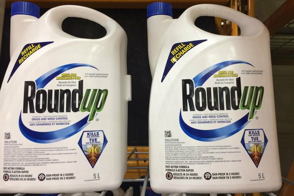 Bottles of Roundup on a retail shelf. File photo