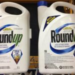 Plaintiffs say that Roundup&rsquo;s active ingredient, glyphosate, causes cancer, and they developed non-Hodgkin&rsquo;s lymphoma and other forms of the disease after using the weedkiller. Bayer has said decades of studies have shown Roundup and glyphosate are safe and do not cause cancer. Photo: File
