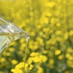 It’s Your Business: Rising canola, soyoil prices won’t last for long