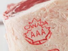 Canada AAA stamp on beef. Pic: Canada Beef Inc.