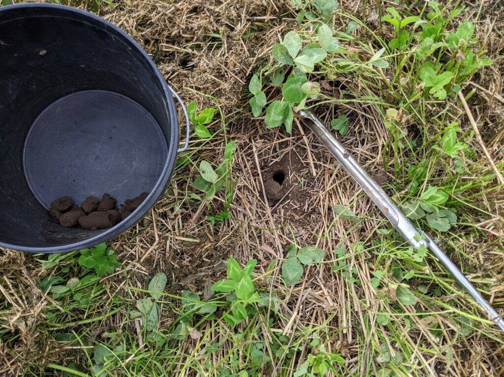 Proper tools for sampling include stainless steel probes and plastic pails. Photo: OMAFA