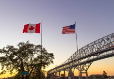 CUSMA replaced the North American Free Trade Agreement (NAFTA), which was active from 1994 to 2020. The current trilateral agreement allows producers in all three countries to trade with each other in a mostly tariff-free environment. Photo: ehrlif/istock/GettyImages
