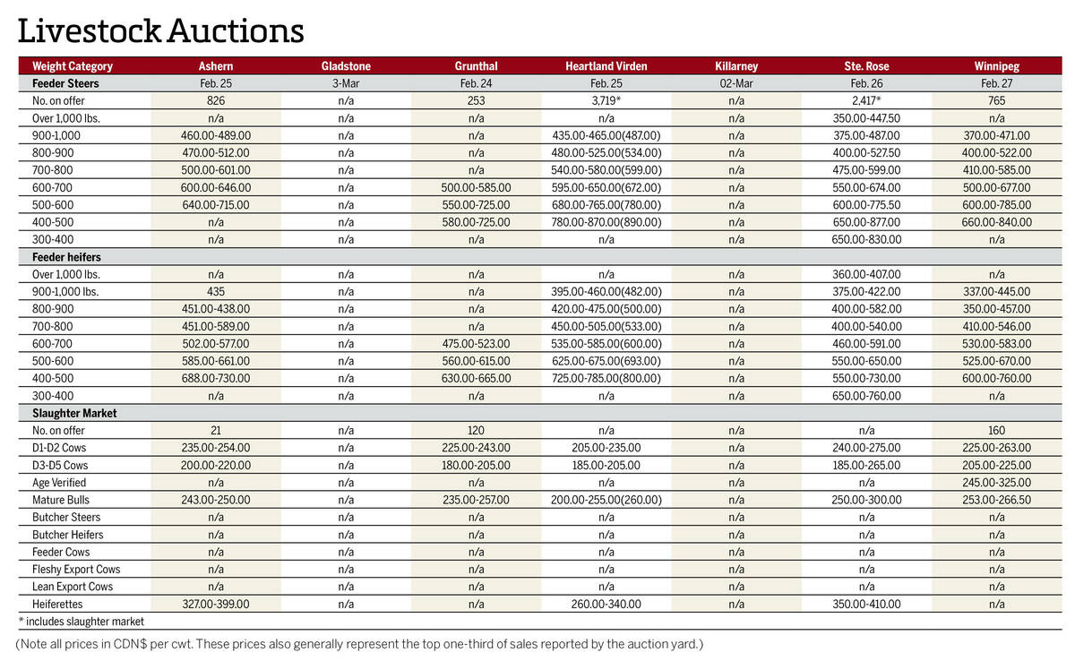Weekly Manitoba cattle prices as of March 4, 2026