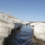 Spring runoff flows between melting snowdrifts in a ditch on the Prairies. Photo: File