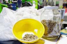 The Manitoba Sheep Association shows off processed wool pellets, a product they hope will add value-added options for their producers, at Manitoba Ag Days 2026 in Brandon. Photo: Alexis Stockford