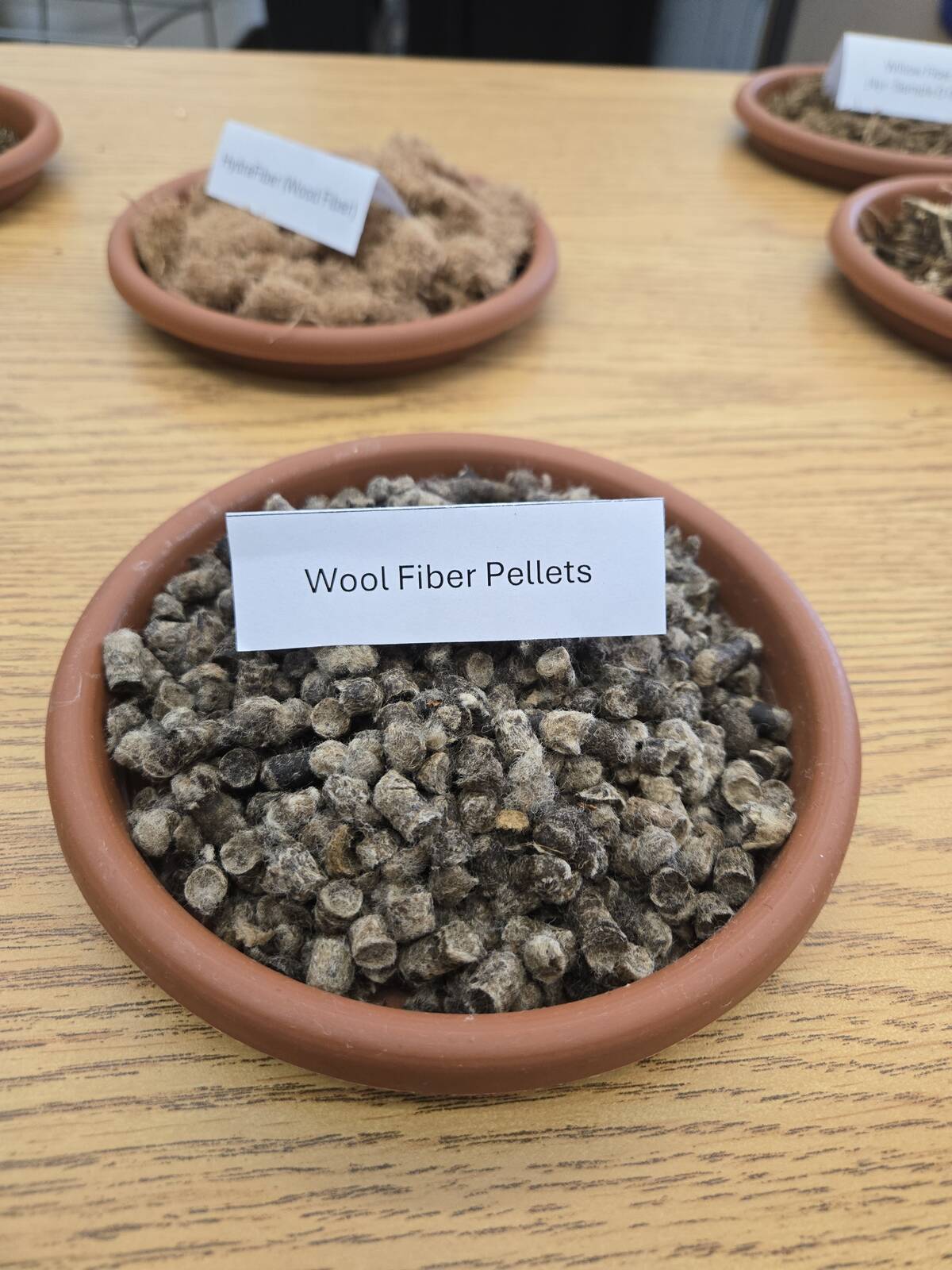 Wool fibre pellets were being explored as peat moss extenders during horticultural research at Assiniboine College. Photo: Miranda Leybourne