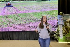 VIDEO: AgGronomyTV: Post-emergent rolling of soybeans and iron deficiency chlorosis