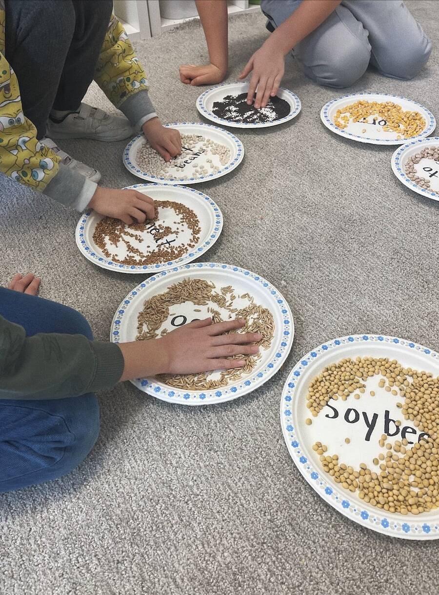 Students examine different commodities grown by Canadian farmers during a 2023 classroom visit. Photo: Agriculture in the Classroom - Manitoba