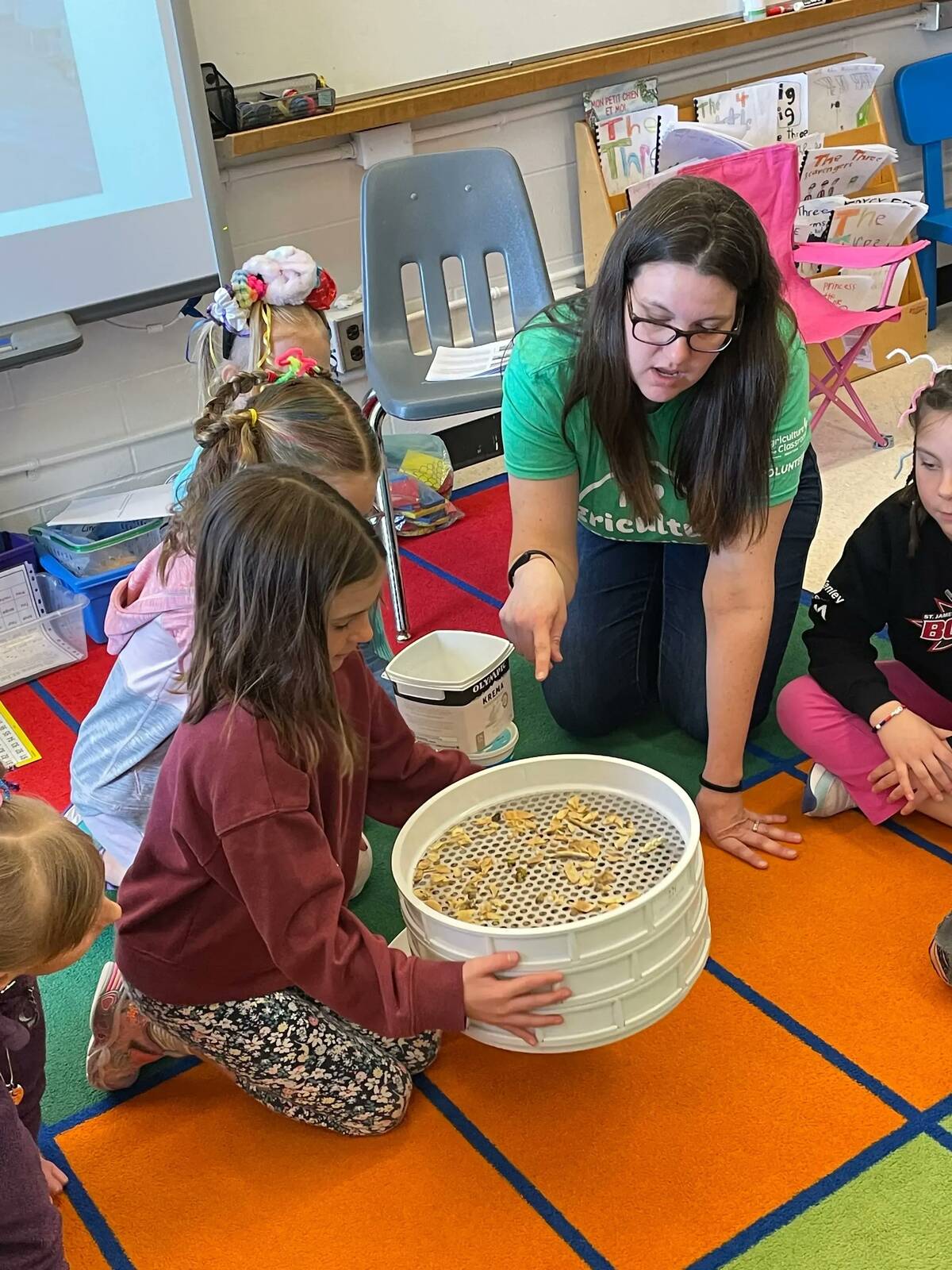 Students take part in a hands-on agriculture activity during a classroom visit. Photo: Agriculture in the Classroom - Manitoba