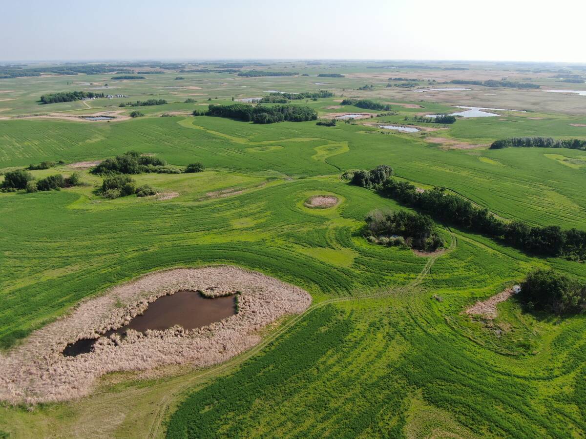 An aerial photo of the  Odanah Pasture near Forrest. Photo: Ducks Unlimited Canada