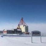 The Canola Council of says it maintained a working relationship with Richardson International in the years since the grain company withdrew its funding. Photo: Screencap via richardson.ca
