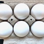 Egg production expanded by 7.6 per cent last year to 937 million dozen. Photo: Alexis Stockford
