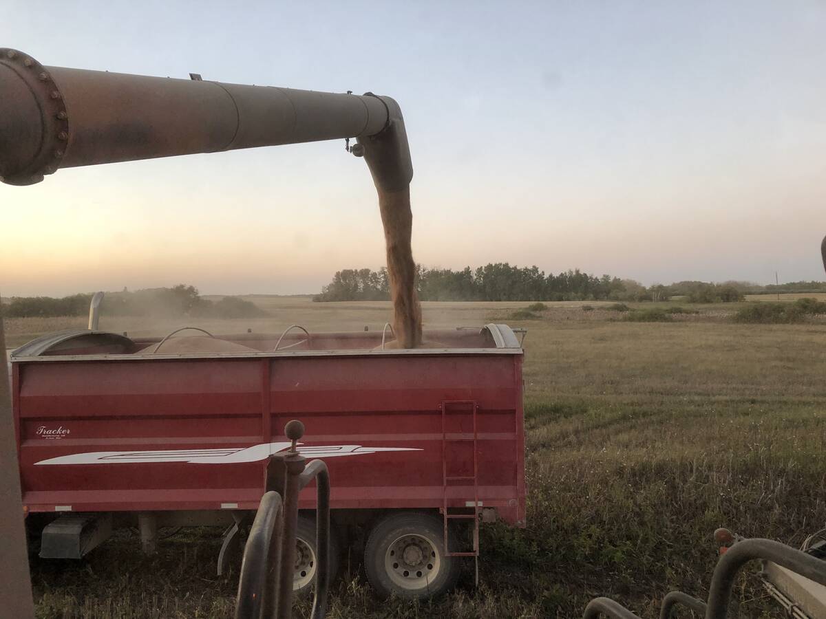 Producers feel pressure to be &ldquo;good farmers,&rdquo; including good family providers, land stewards and self-reliant farm managers, reseacher notes. Photo: File