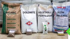 Four bags of different fertilizer products lined up showing organic fertilizer, dolomite, vegetable fertilizer, and slow-release fertilizer, with sample bags displayed in front of each, representing the types of products subject to CFIA fertilizer labelling regulations. Screenshot: earthboxstore.com