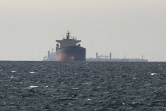 Oil tankers sail near the Strait of Hormuz as tensions between the U.S.-Israeli coalition and Iran disrupt shipping routes for energy and fertilizer. Photo: Reuters/file