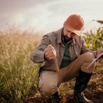 An agronomist crouches in a crop field examining soil while holding a clipboard as AI tools reshape how on-farm agronomy decisions are made. Photo: Getty Images