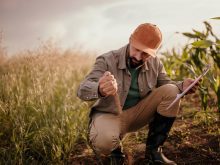 An agronomist crouches in a crop field examining soil while holding a clipboard as AI tools reshape how on-farm agronomy decisions are made. Photo: Getty Images
