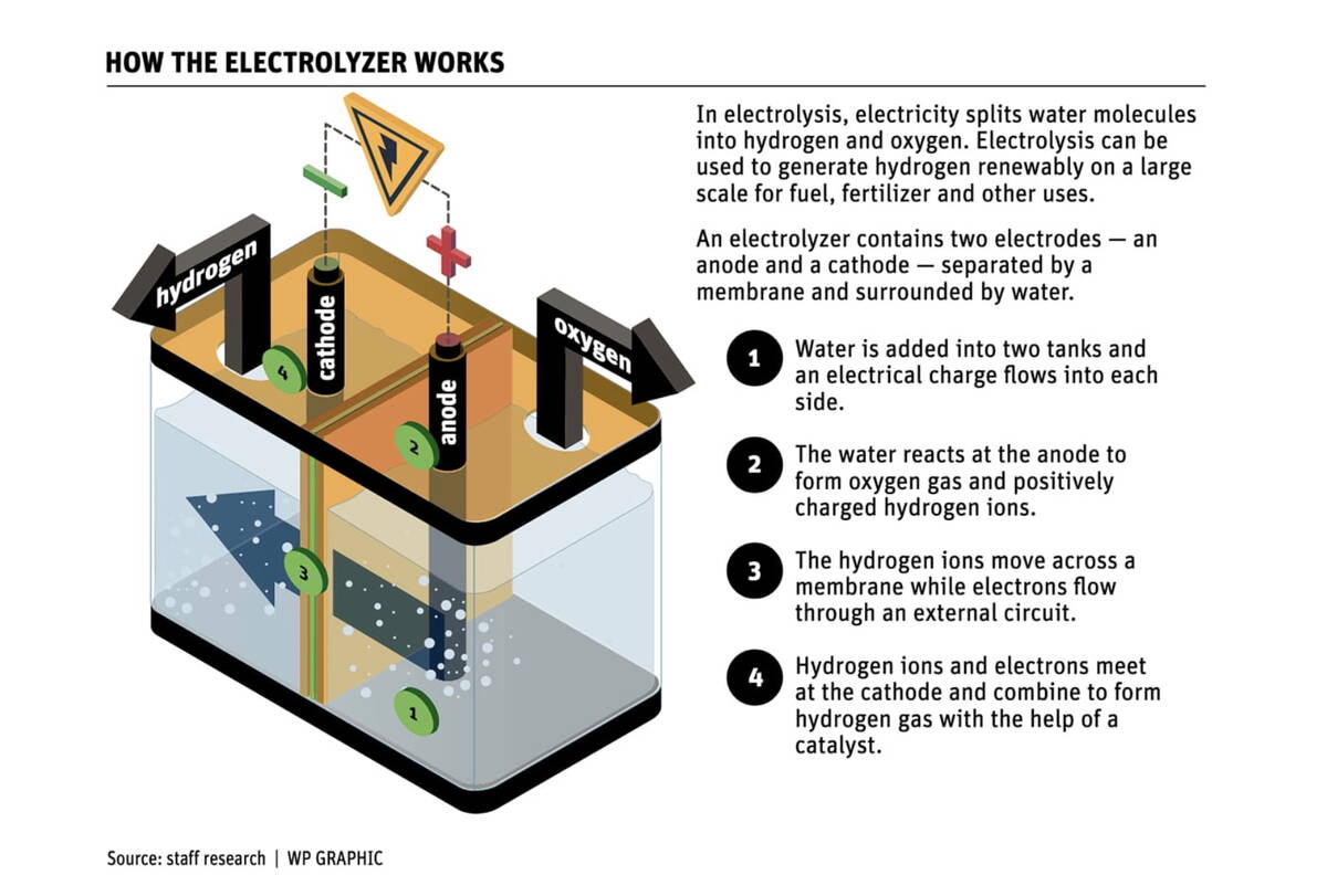 How electrolysis, such as that used to derive the hydrogen used to make green ammonia, works. Photo: Glacier FarmMedia