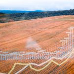 An upward-trending line chart overlays a wide view of harvested farmland, linking the farm cash advance program to the financial pressures grain farmers face between seasons. Photo: Biserka Stojanovic/istock/gettyimages.