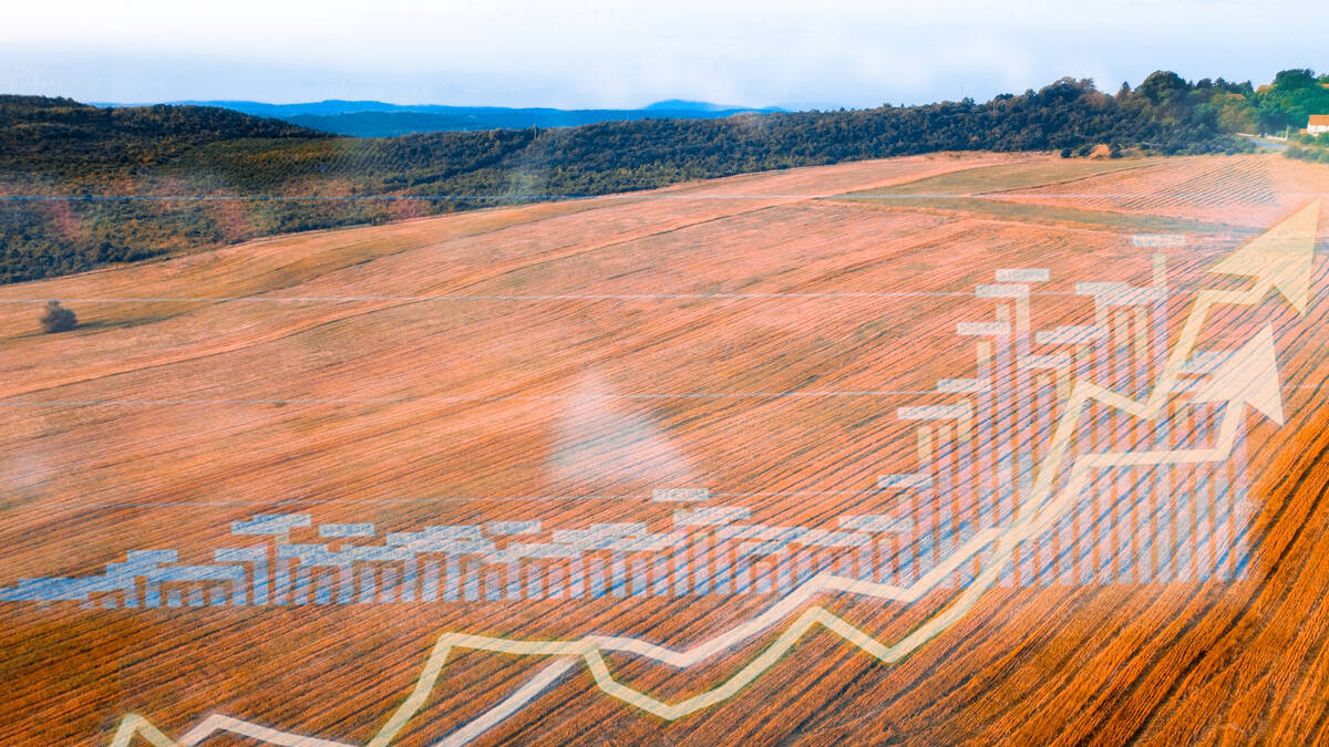 An upward-trending line chart overlays a wide view of harvested farmland, linking the farm cash advance program to the financial pressures grain farmers face between seasons. Photo: Biserka Stojanovic/istock/gettyimages.
