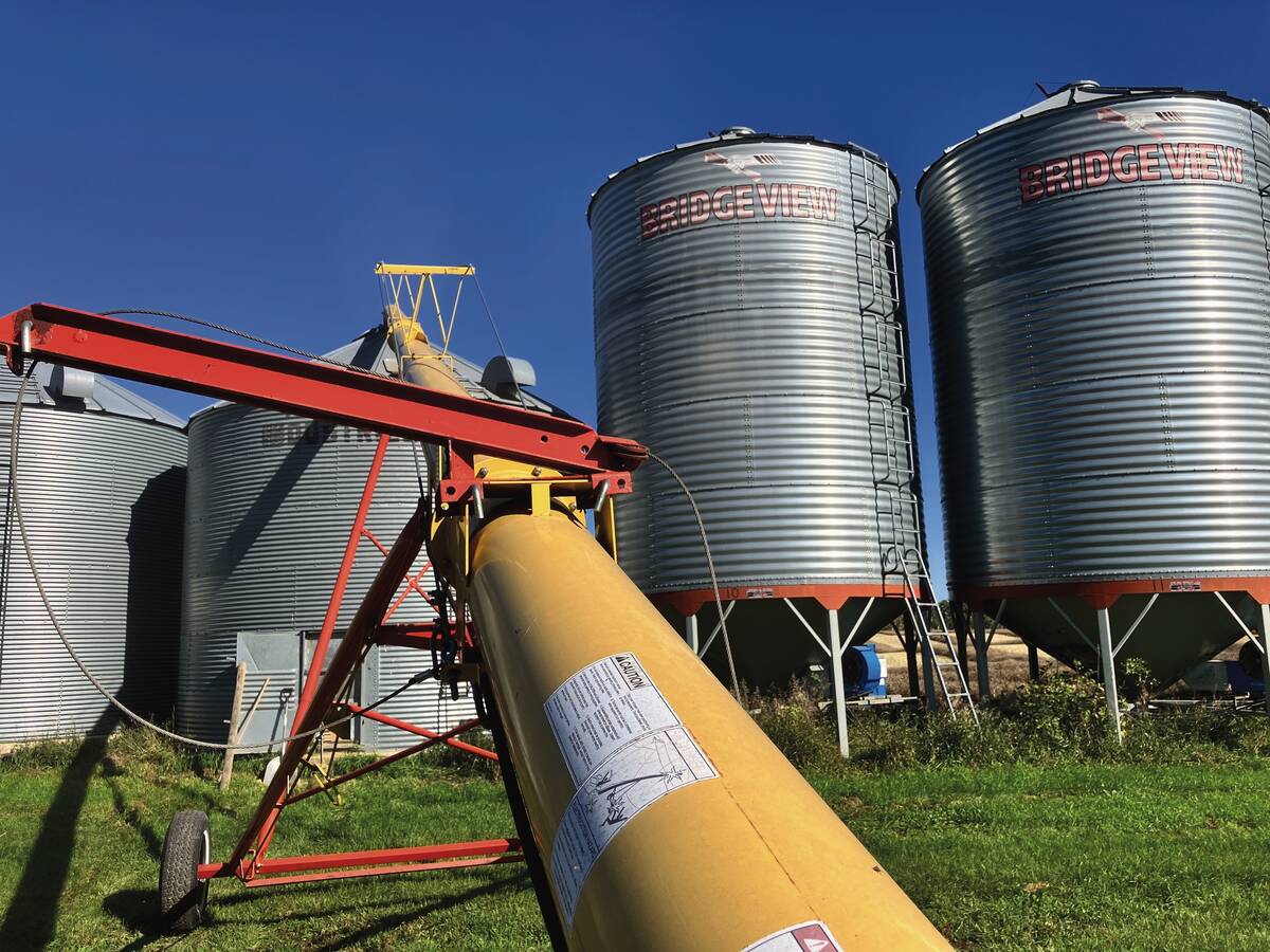 Steel grain bins and a yellow auger stand on a farm yard under blue sky, representing the gap between stored grain and the cash flow farmers need to cover input costs. Photo: Greg Berg