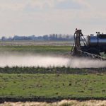 A self-propelled sprayer applies herbicide across a flat Manitoba field in early season, with weed patches visible on bare ground. Photo: Robin Booker.